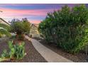 Cozy side yard with a paver pathway and lovely desert plants and landscaping at 27949 N 130Th Ave, Peoria, AZ 85383
