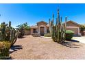 Inviting single-story home featuring desert landscaping with saguaro cactus and xeriscaping at 553 W Hereford Dr, San Tan Valley, AZ 85143