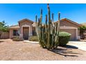 Charming single-story home with desert landscaping, including a towering Saguaro cactus in the front yard at 553 W Hereford Dr, San Tan Valley, AZ 85143