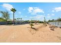 Expansive desert front yard with mature cacti and desert landscaping under a bright blue sky at 12501 E Cloud Rd, Chandler, AZ 85249