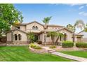 Expansive home with manicured front lawn, mature palms, and neutral color scheme at 2024 E Taurus Pl, Chandler, AZ 85249