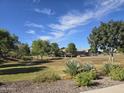 A beautiful park with mature trees, lush grass and playground at 2665 E Gillcrest Rd, Gilbert, AZ 85298
