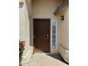 A close-up of the home's front door with side window and adjacent plants at 3700 E Sandwick Dr, San Tan Valley, AZ 85140