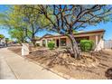Charming single-story home featuring desert landscaping, mature trees, and a welcoming front porch at 14815 N 21St St, Phoenix, AZ 85022