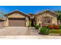 Lovely exterior featuring a well-kept lawn, desert plants, and a two-car garage at 20592 E Reins Rd, Queen Creek, AZ 85142