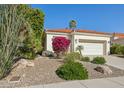 Beautiful home with desert landscaping featuring colorful bougainvillea, desert plants and terracotta tile roof at 9540 N 114Th Way, Scottsdale, AZ 85259
