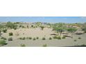 Desert landscape with small trees and flowering bushes beyond the block fence and desert landscape at 19117 W Missouri Ave, Litchfield Park, AZ 85340