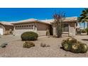 Single-story home with desert landscaping, barrel cactus and a spacious two-car garage at 1474 E Riviera Dr, Chandler, AZ 85249