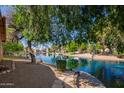 Secluded backyard on the water with mature landscaping and shade trees providing a peaceful oasis at 1744 E Boston Cir, Chandler, AZ 85225