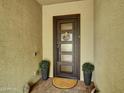 Inviting front entrance with a dark wood door with glass panels, potted plants, and a decorative welcome sign at 5951 N 190Th Dr, Litchfield Park, AZ 85340