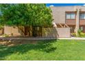 Inviting townhome featuring mature trees and a well-manicured lawn at 811 W 13Th St, Tempe, AZ 85281