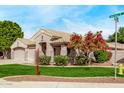 A single-story home with a well-maintained lawn and mature landscaping including a flowering tree at 2233 S Nielson St, Gilbert, AZ 85295
