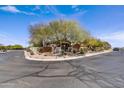 Wide street view showcasing the home's setting within the community with lush desert landscaping at 5537 E Dusty Wren Dr, Cave Creek, AZ 85331