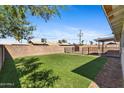 Spacious backyard with lush green lawn, enclosed by a charming wall and fence, creating a private outdoor oasis at 6714 N 26Th Dr, Phoenix, AZ 85017