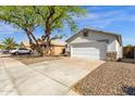 Single-story home with a well-maintained driveway and desert landscaping, complemented by a mature shade tree at 1320 E Binner Dr, Chandler, AZ 85225