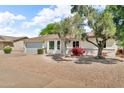 Single-story home with desert landscaping, mature trees, and an attached two car garage at 332 E Houston Ave, Gilbert, AZ 85234