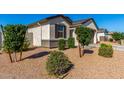 Attractive desert landscaping including gravel, shrubbery, and small decorative trees at 36204 W San Sisto Ave, Maricopa, AZ 85138
