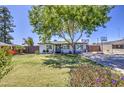 Single-story home featuring a green lawn, mature tree, and a driveway with a basketball hoop at 6728 N 24Th Dr, Phoenix, AZ 85015