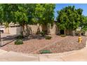 Beautiful home featuring mature trees, desert landscaping, and a cozy front porch at 16603 N 168Th Dr, Surprise, AZ 85388