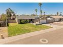 Charming single-story home with well-manicured lawn, complemented by desert landscaping and mature palm trees at 18642 N 13Th Ave, Phoenix, AZ 85027