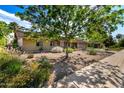 Charming single-story home with a well-maintained desert landscape and mature shade trees at 425 E Del Rio Dr, Tempe, AZ 85282