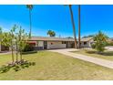 Attractive single-story home featuring a lush green lawn, mature trees, and an inviting walkway to the front door at 1431 E San Juan Ave, Phoenix, AZ 85014