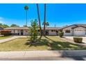 Inviting single-story home with a lush green lawn, mature landscaping, and a welcoming walkway to the front door at 1431 E San Juan Ave, Phoenix, AZ 85014