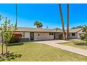 Attractive single-story home featuring a lush green lawn, mature trees, and an inviting walkway to the front door at 1431 E San Juan Ave, Phoenix, AZ 85014