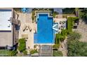 Aerial view of backyard pool with spa, lounge chairs, and lush landscaping at 16469 N 113Th Way, Scottsdale, AZ 85255
