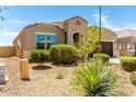 Landscaped front yard with desert plants including trees, shrubs, and gravel at 28259 N Chalcocite St, San Tan Valley, AZ 85143