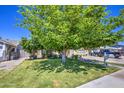 Charming home with a mature tree providing shade, complemented by a well-maintained lawn and manicured landscaping at 4112 E Maldonado Dr, Phoenix, AZ 85042