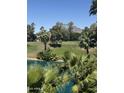 Scenic golf course view with lush greenery, palm trees, and a serene water feature at 5102 N 31St Pl # 436, Phoenix, AZ 85016