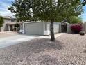 Street view of a lovely single-story home featuring a driveway and desert landscaping at 7415 S 16Th S Dr, Phoenix, AZ 85041