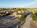 Wide aerial view of desert property with lush trees, unique cacti, and a long driveway at 7969 S 172Nd St, Queen Creek, AZ 85142