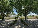 A walkway and a well-manicured garden lead to a charming home at 2311 E Colter St, Phoenix, AZ 85016