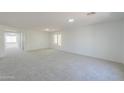 Spacious living room with neutral carpet, a large window and ample natural light at 43601 W Cowpath Rd, Maricopa, AZ 85138