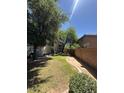 Large backyard features mature trees and landscaping at 135 N 119Th Dr, Avondale, AZ 85323
