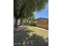 Landscaped front yard featuring mature trees and lawn at 135 N 119Th Dr, Avondale, AZ 85323