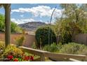 Lush backyard view with mature trees and landscaping, showcasing natural beauty and tranquility at 1221 E Cholla St, Phoenix, AZ 85020