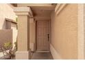 Close-up of the light brown front door with raised panels and stucco walls at 10317 E Kiva Cir, Mesa, AZ 85209