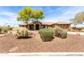 Inviting home with desert landscaping, mature trees, and a well-manicured lawn at 14188 W Hope Dr, Surprise, AZ 85379
