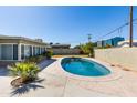 Spacious backyard with an in-ground pool and diving board, surrounded by palm trees and privacy fencing at 2544 E Elm St, Phoenix, AZ 85016