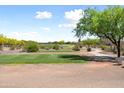Scenic view of the golf course with lush green fairways and mature trees, offering a peaceful and picturesque setting at 20655 N 273Rd Ave, Buckeye, AZ 85396