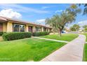 Well-maintained front yard featuring green lawn and mature tree, complemented by a sidewalk and street view at 2528 N 22Nd Dr, Phoenix, AZ 85009