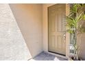 Close up of the front door featuring a pot plant at 4084 E Caitlin Dr, San Tan Valley, AZ 85140