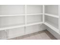 Spacious walk-in pantry with ample shelving for organized storage at 21838 E Bonanza Ct, Queen Creek, AZ 85142