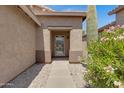 Close-up of front entrance with decorative security door, neutral paint, and low-maintenance landscaping at 2318 W Kristina Ave, San Tan Valley, AZ 85144