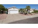 Exterior shot of a two-car garage, desert landscaping, and palm trees at 238 W Marco Polo Rd, Phoenix, AZ 85027