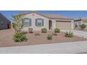 Attractive single-story home featuring desert landscaping and blue shutters at 2775 N Mulberry Pl, Casa Grande, AZ 85122
