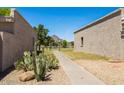 Backyard view with a path between buildings. Desert plants and a mountain in the background at 8107 E Vista Dr, Scottsdale, AZ 85250